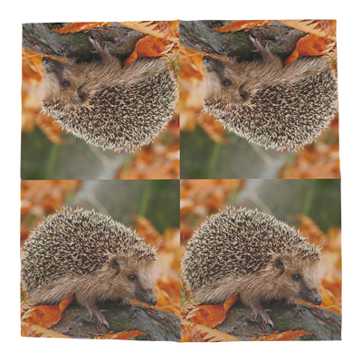 Servilletas de Papel Erizos 33x33cm